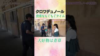 #競馬  #菅井友香 #クロワデュノール