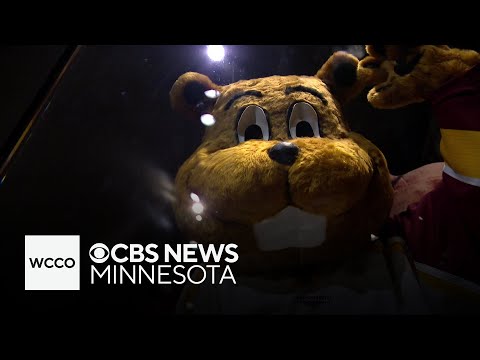 The history, and evolution, of Goldy Gopher
