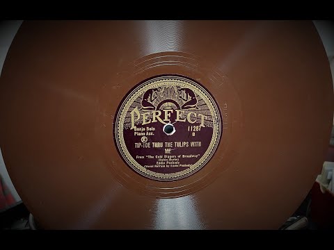 "Tip-Toe Thru The Tulips With Me" by  Eddie Peabody 1929  (Electrola 101 Phonograph)