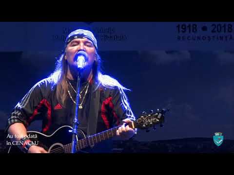 Vasile Șeicaru - Vânare de vânt