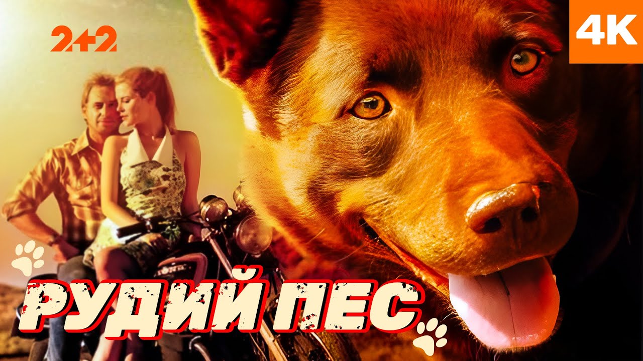 РУДИЙ ПЕС — Історія, заснована на реальних подіях | Фільм українською