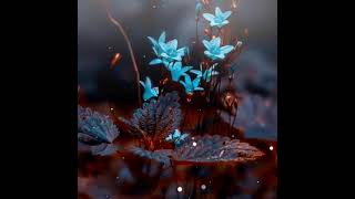 Download lagu STATUS WA LAGU SHOLAWAT TERBARU 2021 || STORY WA ISLAMI 30 DETIK mp3