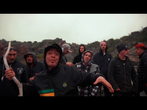 Zkt1 Audiovisual and zkt1tribu