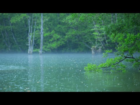 Calm piano and gentle rain - Relaxing music for sleep