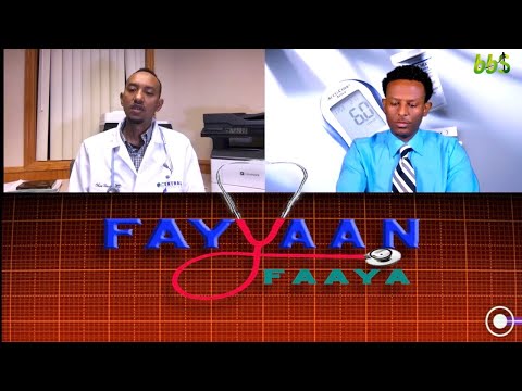 BB$: Fayyaan Faaya (Dhukkubni Sukkaaraa maali?)