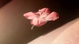 falling in love: Teen Suicide