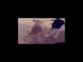 Slushi All I Need Saturado Slushi All I Need Earrape