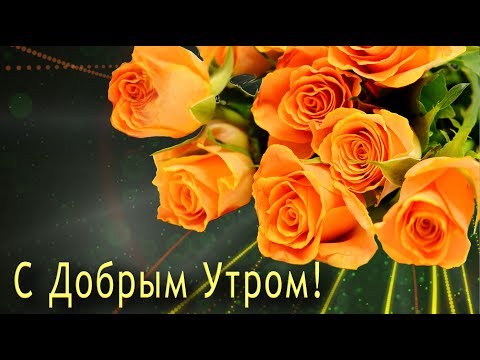 ✅С Добрым Утром! С Новым Днем!✅Анимационная открытка 4К
