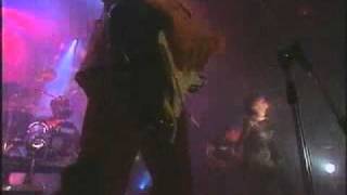 Baby Animals- Stoopid- Live