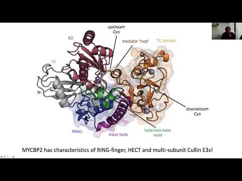 Targeted Protein Degradation And Proximity Pharmacology - 14 December 2020