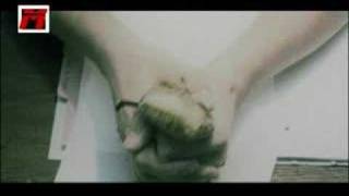 Mastermovies Matrix Voice-Over (Meetriks)