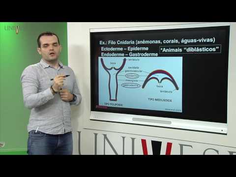 Zoologia dos Vertebrados – Aula 02 – Padrões de arquitetura de um animal