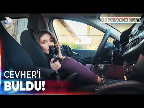 Sude'deki Büyük Şans! #ArkaSokaklar 736. Bölüm