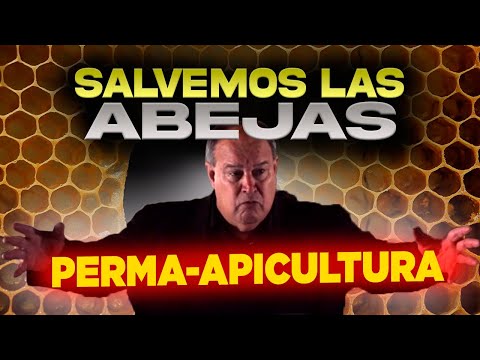 Pt. 1|  SALVEMOS A LAS ABEJAS CON LA PERMA-APICULTURA NATURAL - Curso Completo de OSCAR PERONE 2023