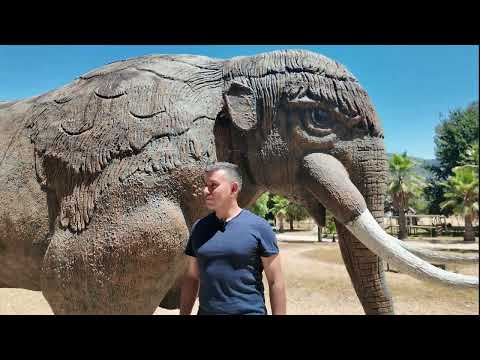 San Vicente de Tagua-Tagua, pura Historia!!!.