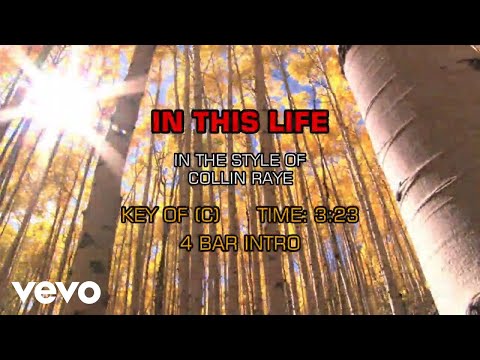 Collin Raye - In This Life (Karaoke)
