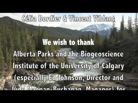 A day in Kananaskis 2