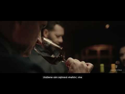 Náhled pro video reference