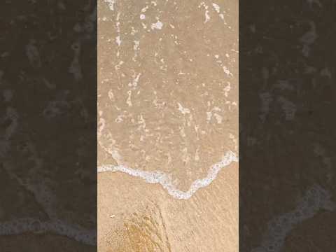 Goa v/s Digha 🌊 sea beach 🏝️|| #video #goa #digha #travel