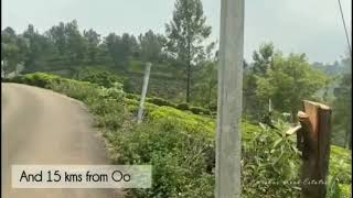  Residential Plot for Sale in Ketti, Nilgiris