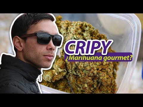 Qué es el Cripy y el Prensado