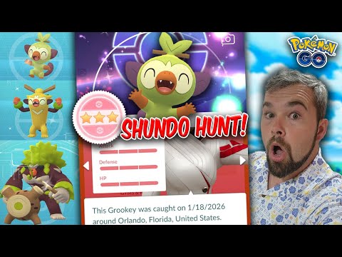 Grookey Community Day Shundo Hunt! We Got VERY LUCKY!