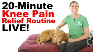20-Minute Knee Pain Relief Stretching Routine LIVE!