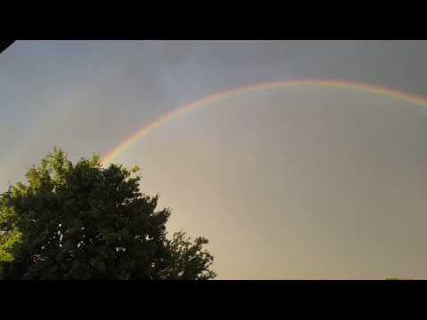 Il potere della natura