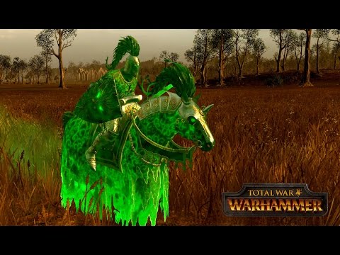 Top 5 Bretonnia Units in Total War: Warhammer