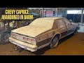 Erste Wäsche Seit 18 Jahren Caprice Classic Scheunenfund Restaurierung Von Fahrzeugdetails