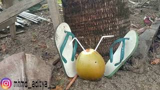 Download lagu Kemarin(Parodi Sendal) mp3