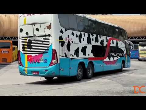 Movimentação rodoviária Novo Rio (Nova Itapemirim,Rio Doce e Gontijo)