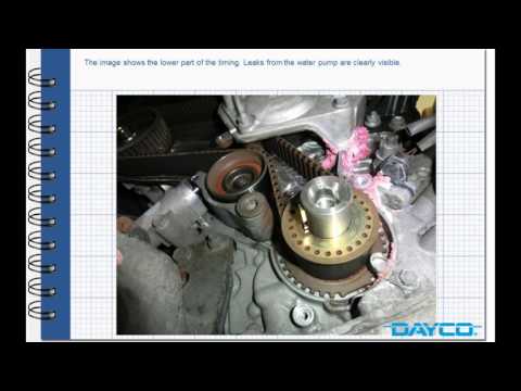 DAYCO - Timing kit installation Lexus RX 400 H - Engine: 3MZ-FE