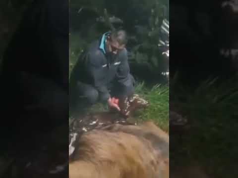 #offroad #music  #viral #terrorymisterio # #turismo  😯😲Esto Paso En La Parte Alta De Caloto Cauca