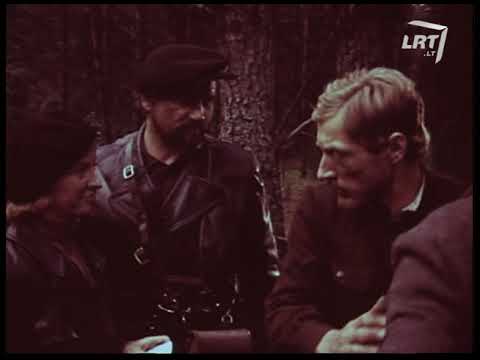 Filmas "Ko verkė pušys" 1977 m.