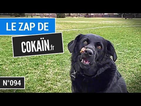 Le Zap de Cokaïn.fr n°094