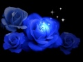 Frequenz - Синие розы (ты смеялась надо мной) 