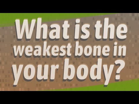 What is the weakest bone in your body?