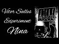 Nina Vitor Salles Experiment
