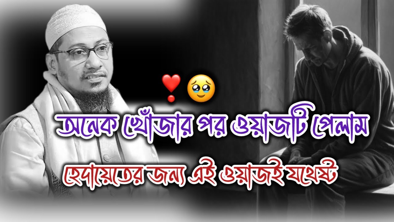 আনিসুর রহমান আশরাফী নতুন ওয়াজ