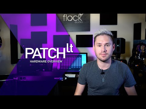 Flock Audio Patch LT (Black Friday Offer!) image 4