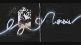 Little Bird - Imogen Heap (Lyrics)