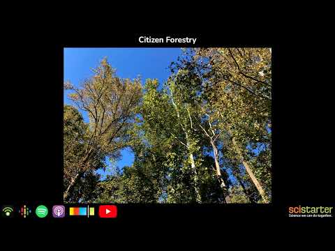 Citizen Science Podcast: Citizen Forestry (aired on 2022-10-07)
