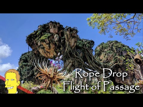 Rope Drop at Avatar Flight of Passage | Full Queue Walkthrough, Preshow and Ride POV