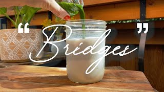 Emily Brimlow - Bridges video