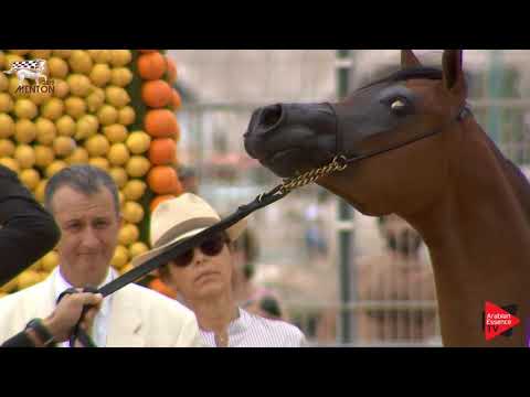 N.9 FAREEDAH RC - Menton 2019