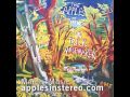 The Apples in stereo - Tidal Wave (Official)