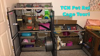 Triple Critter Nation Rat Cage Tour