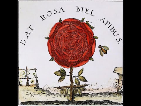 La meditazione Rosacroce in Steiner e Scaligero