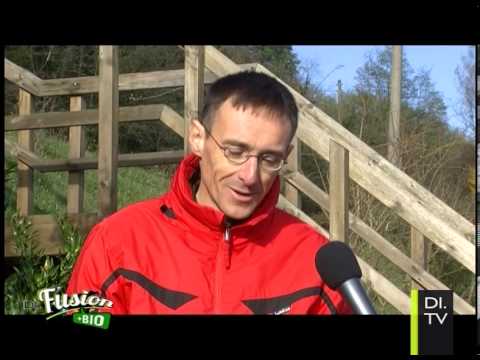 Codificazione di alcolismo in Nyagan Come parlare con il marito che ha cessato bere